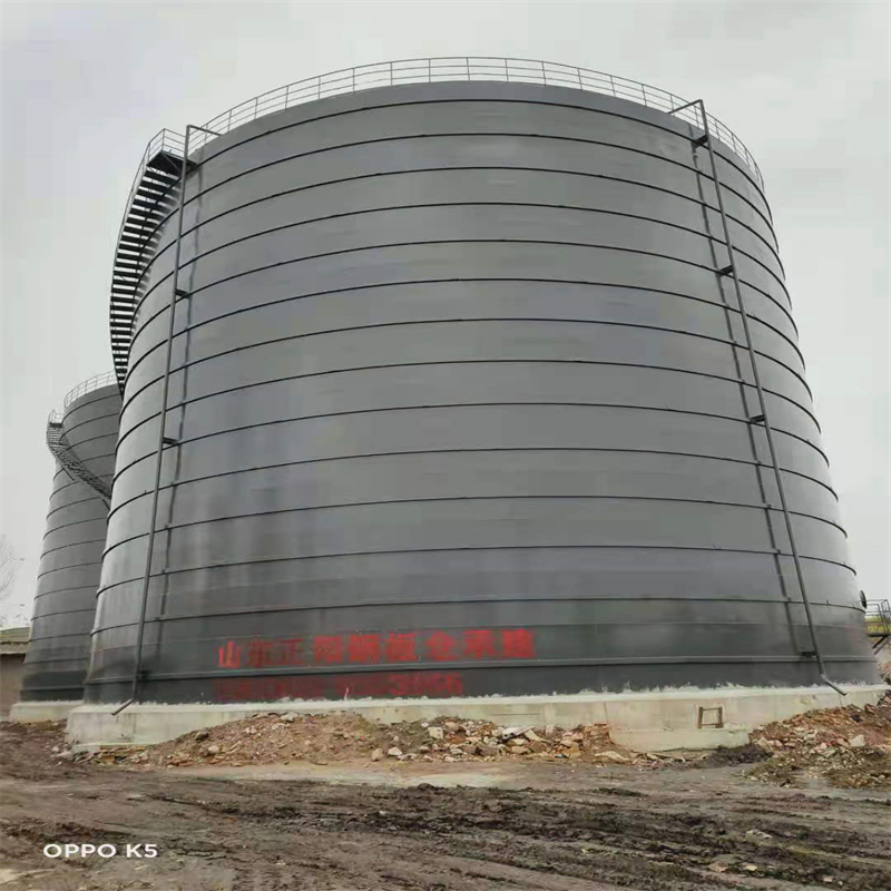 崇仁3万吨大型钢板库